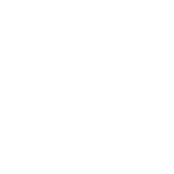 Every matrix